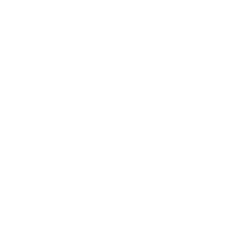 sviluppo e servizi web professionali